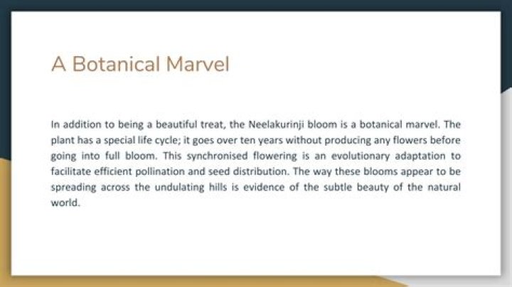 A Botanical Marvel With Endless Possibilities