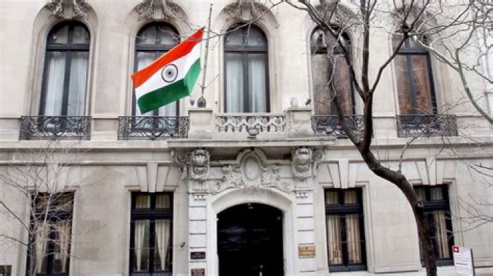 Discover The Surprising Truth About India Royale's Height