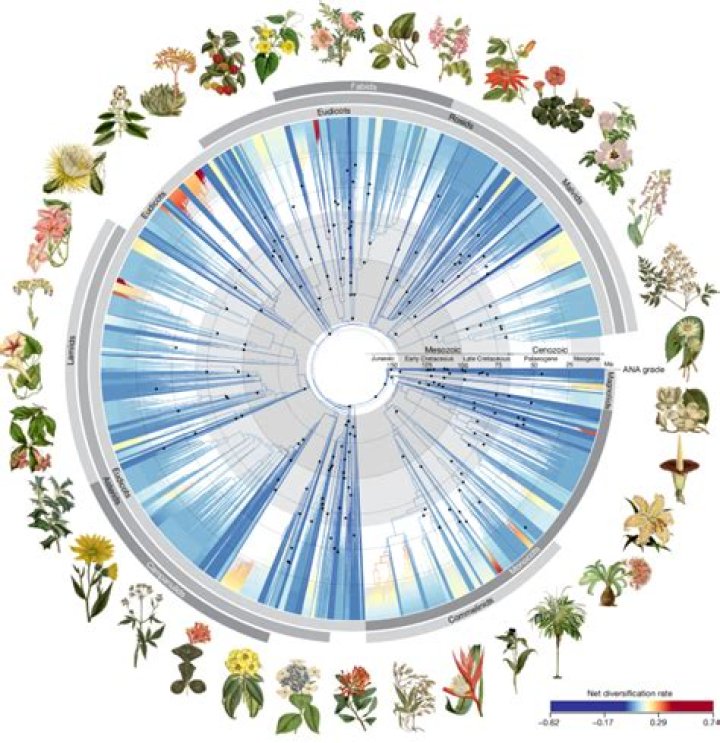 Discoveries And Insights Into Mortality