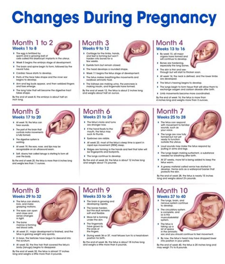 Discoveries And Insights That Will Revolutionize Your Pregnancy Journey