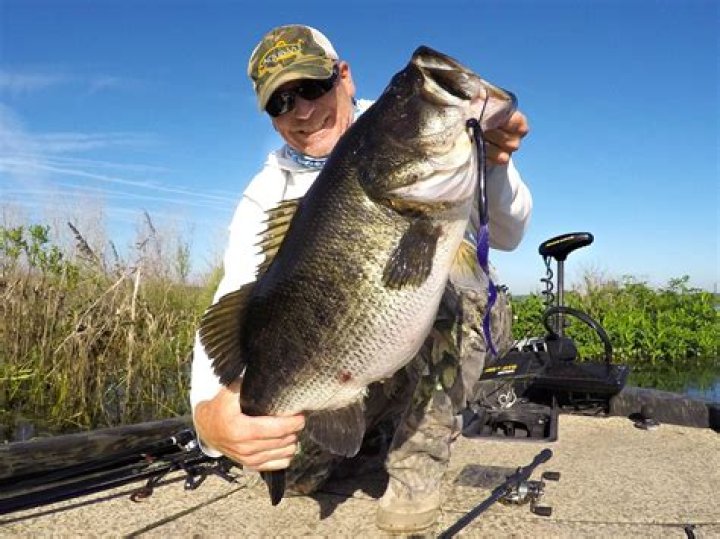 How old is a 10lb bass?