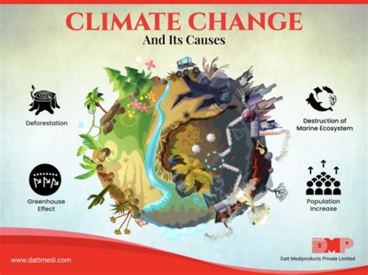 Unraveling Its Causes And Impacts