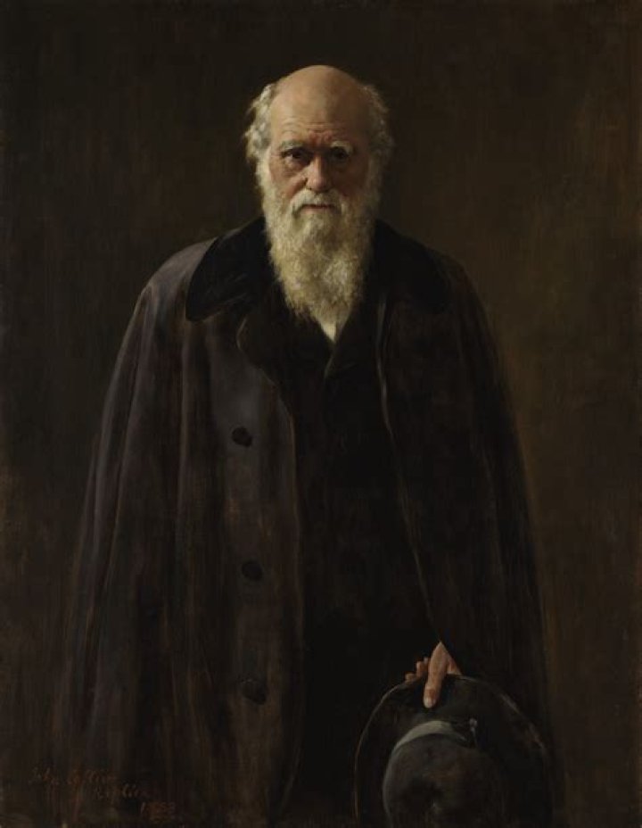 Unveiling The Depth Of Collier Landry: Discoveries And Insights