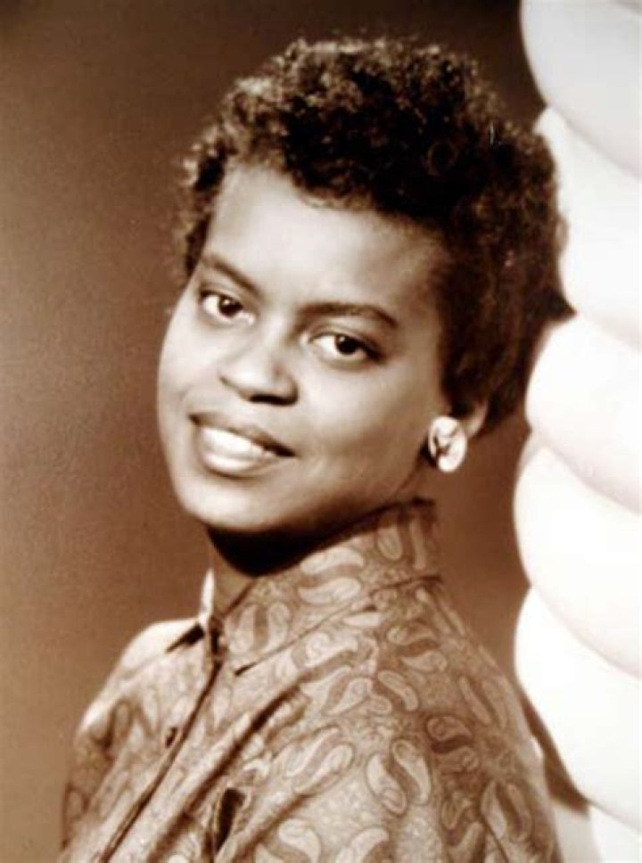 Unveiling The Enigma: The Life And Legacy Of Michael Lavon Robinson