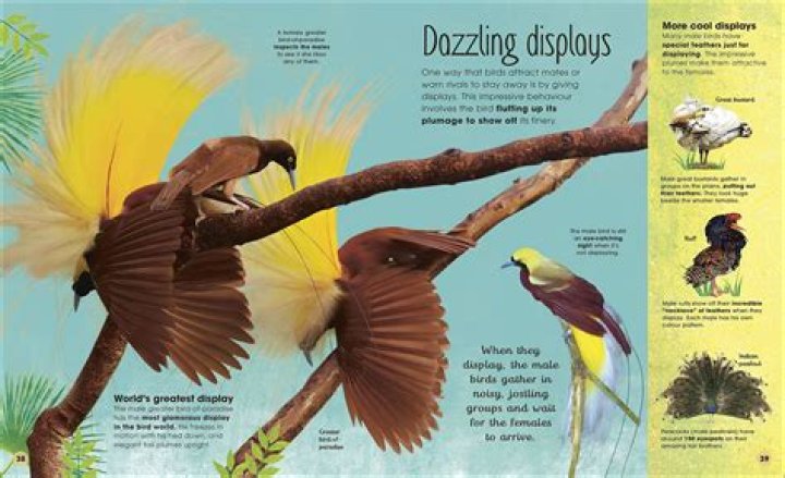 Unveiling The Extraordinary World Of Sidney Summers: Discoveries And Insights