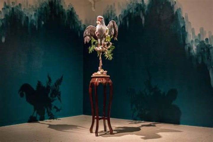 Unveiling The Multifaceted World Of Hania Amir: Discoveries And Insights