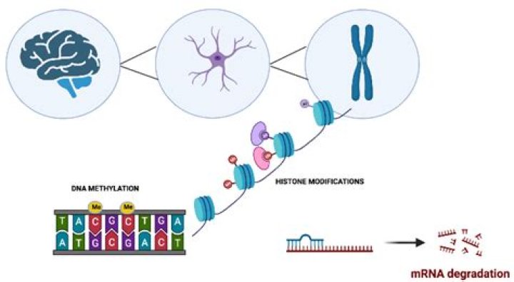 Unveiling The Secrets Of Ed Hardy: Discoveries And Insights